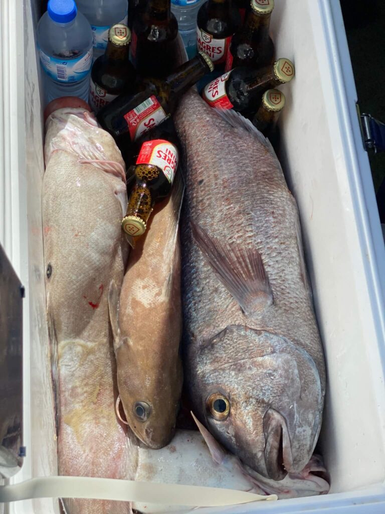 Pesca em Cascais